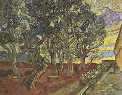 Vincent Van Gogh The Garden of Saint-Paul Hospital (nn04) oil painting image